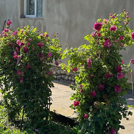 Baqari Inn Stepancminda Exteriér fotografie